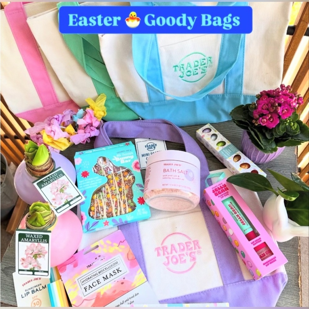 Trader Joe's Mini Blue Pastel Canvas Tote
Bag NWT